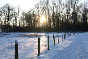 Wintry Snow