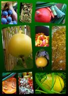 collage with pictures of autumn fruits