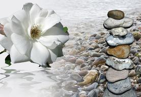 Mourning Flower Memory poster drawing
