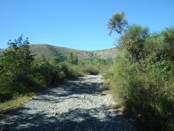 Trail Stones at Summer