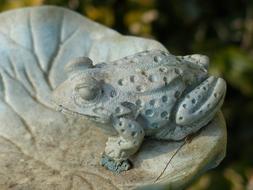 Stone Figure Frog