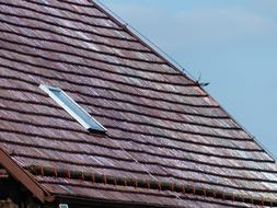 Windows on Roof Tile