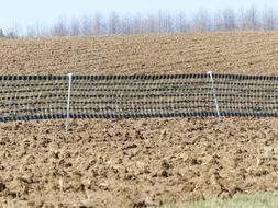 Snow Fence Arable