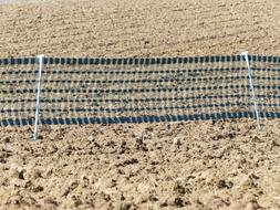 Snow Fence Arable