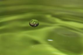 Close-up of the shiny liquid, above the green water with ripple
