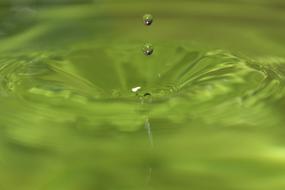 Drip Liquid Green