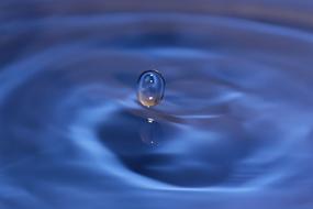 drop, liquid, waves