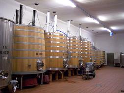 Botti Container wine Wooden Barrels