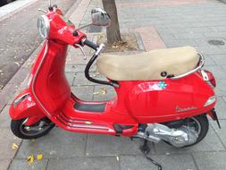 Shiny, red scooter on the colorful pavement, near the tree