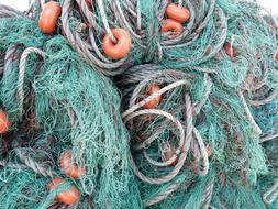 Fishing Nets in port