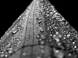 Water Drops Droplets on wood