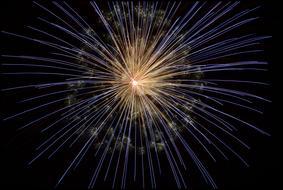 golden blue Fireworks at dark sky