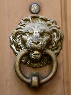 Vintage Door Knocker Lion Head