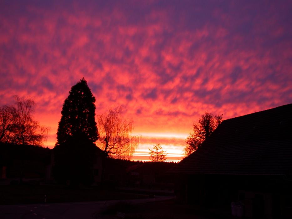 red Morgenrot Sun