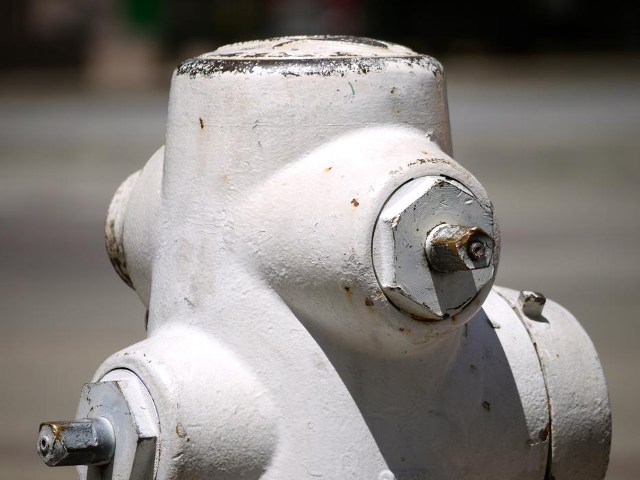 macro photo of a white hydrant in the USA