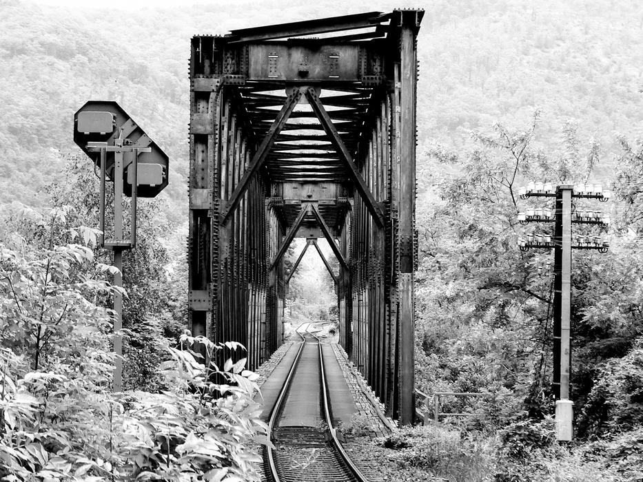 Black and white photo of the beautiful railway bridge, on the mountains with plants