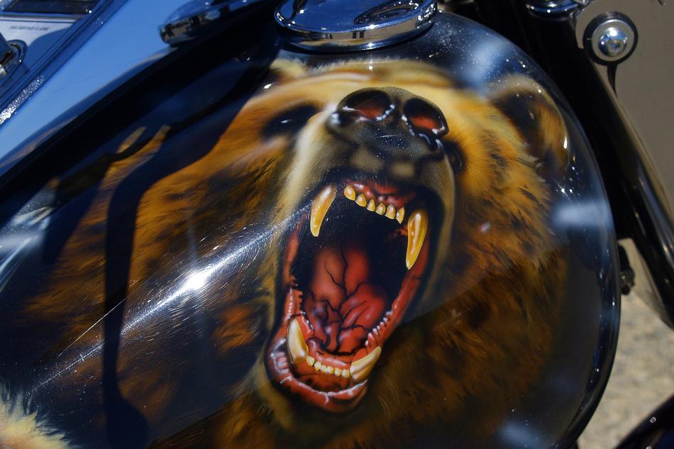 Beautiful and colorful, shiny paintwork of the bear, on the motorbike