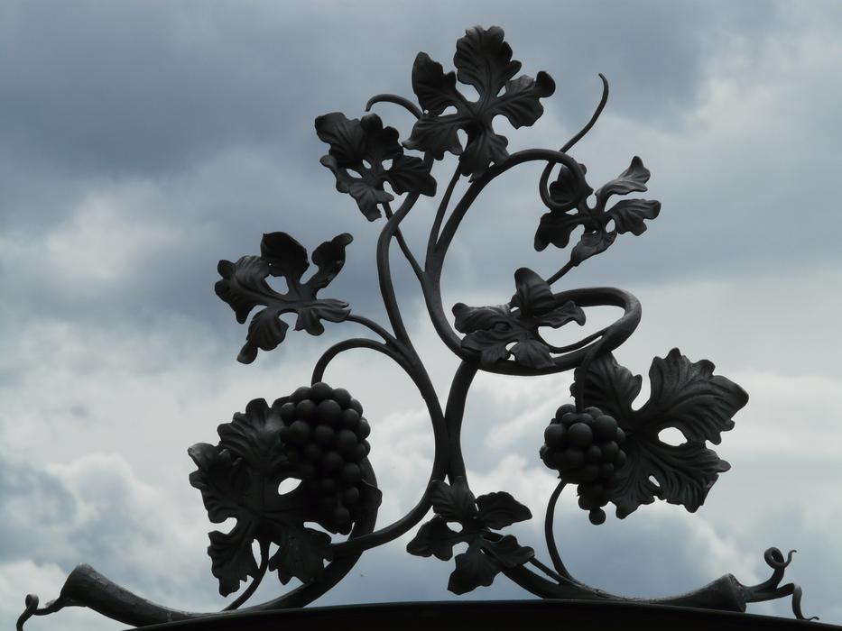 Metal Grapevine Backlighting