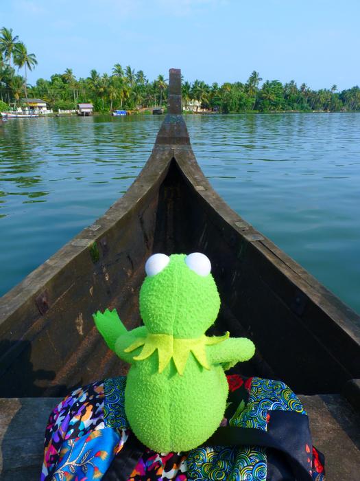 soft toy frog on a boat on the water
