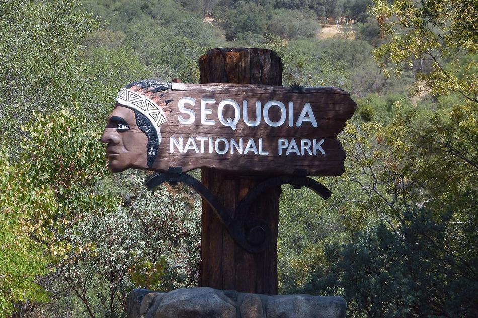 Sign Board sequola