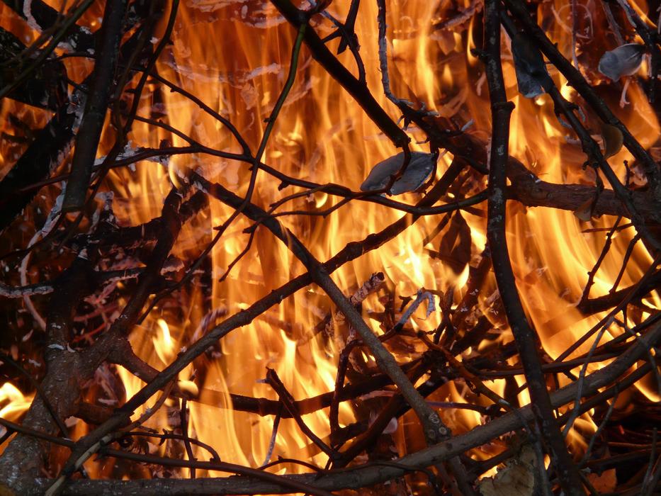Flame branches