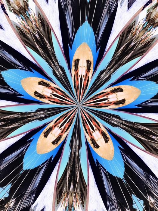 Beautiful and colorful abstract image with the flower pattern