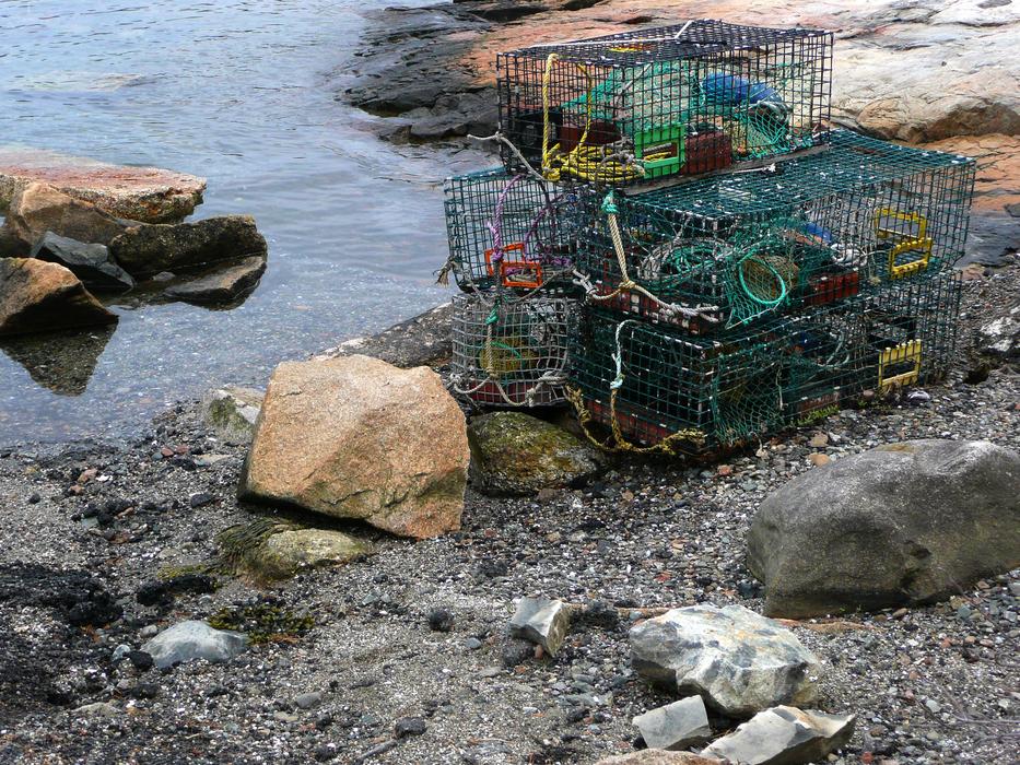 Colorful cages with lobsters, on the beautiful, rocky shore