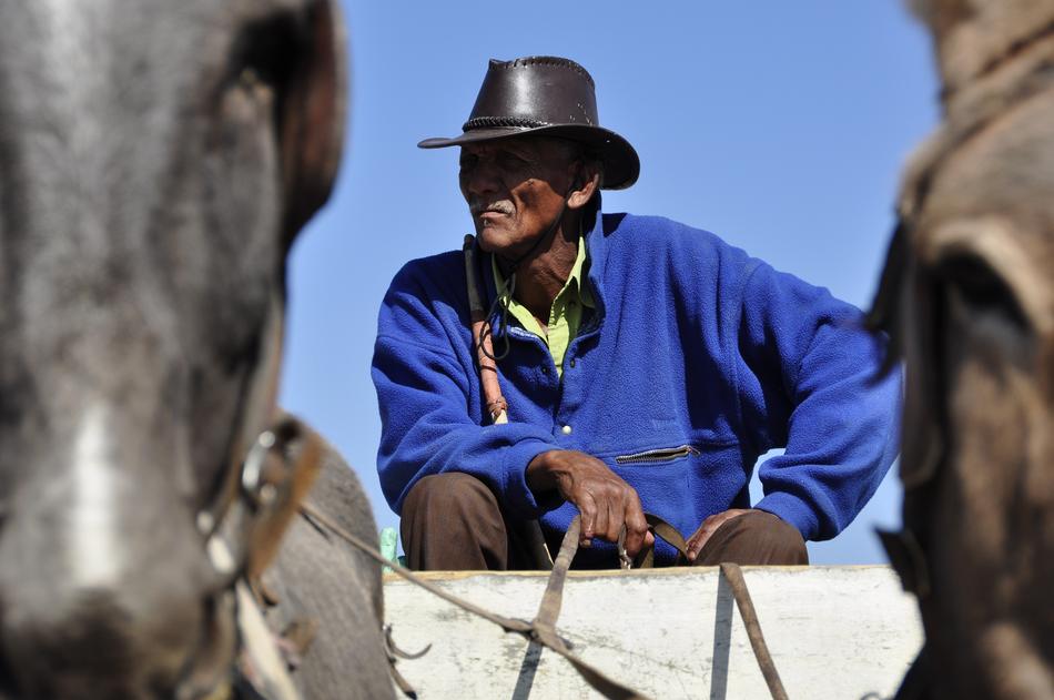 Man in hat, near the colorful animals in Botswana, Africa