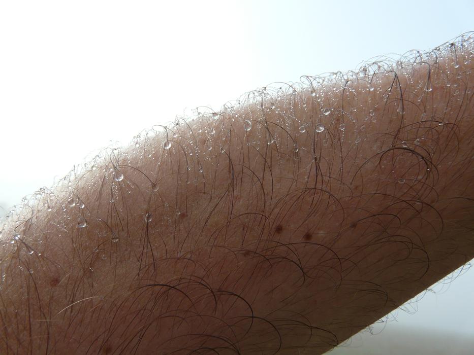 Hand skin and hair
