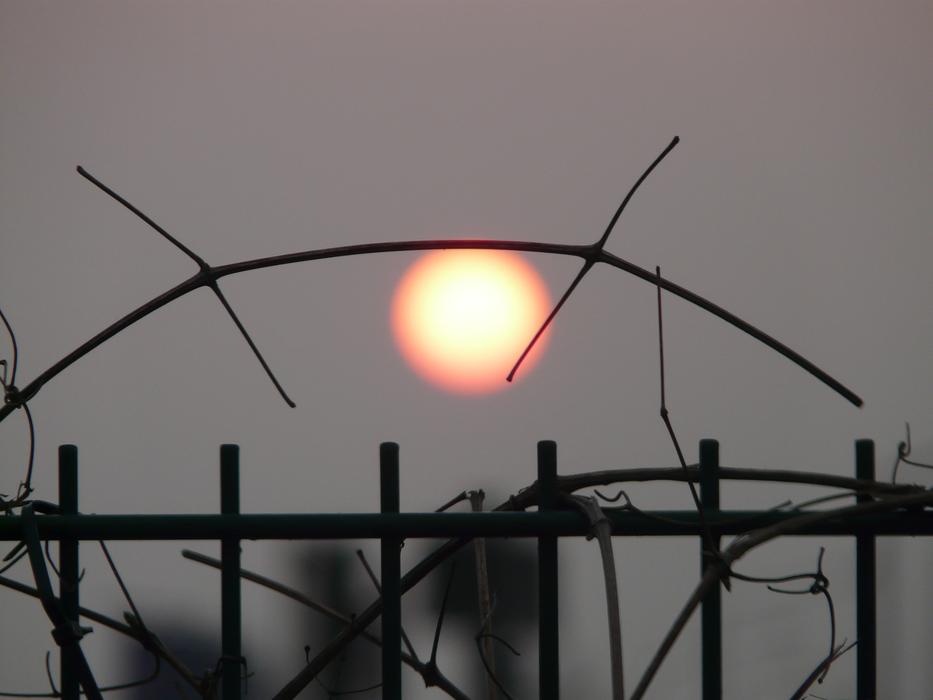 Silhouette of a fence, and colorful Sun in the sky