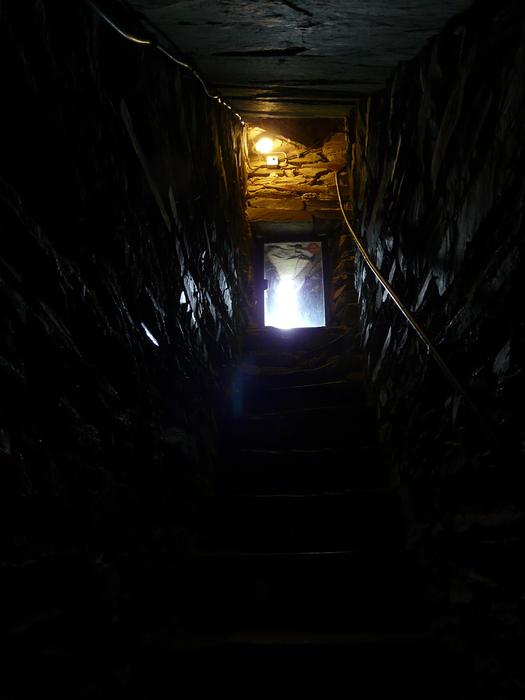 Cellar Outlet Gang at Dark
