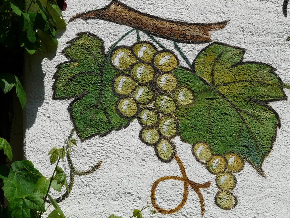 Mural Grapes drawing