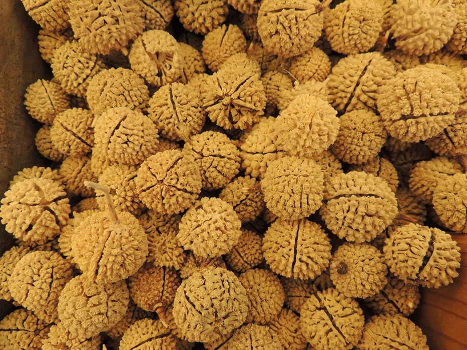 Pile of the yellow dried nuts, with the seeds