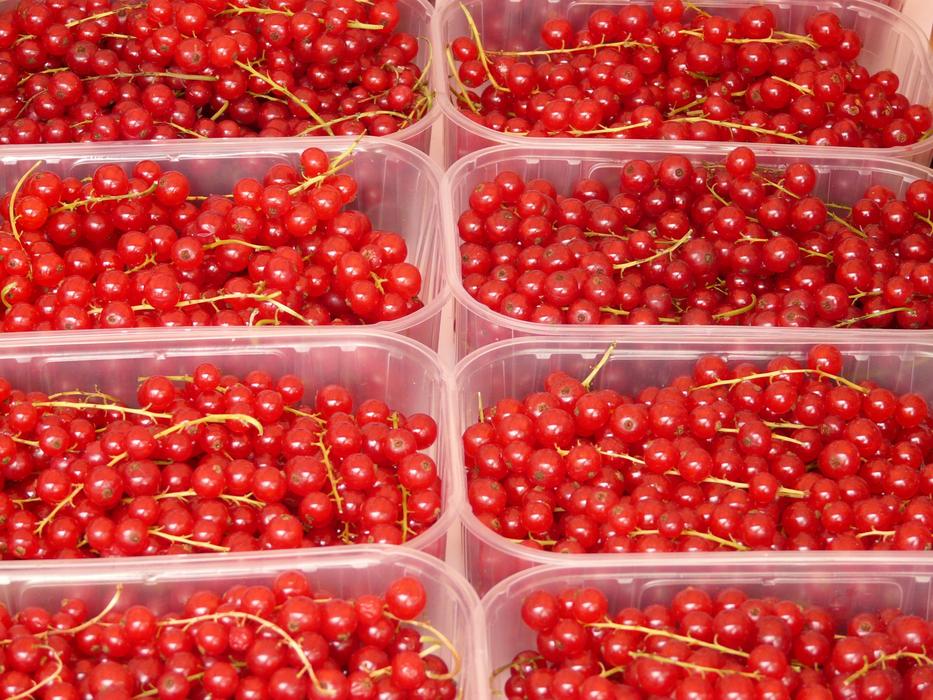 Beautiful red Currants in the transparent boxes