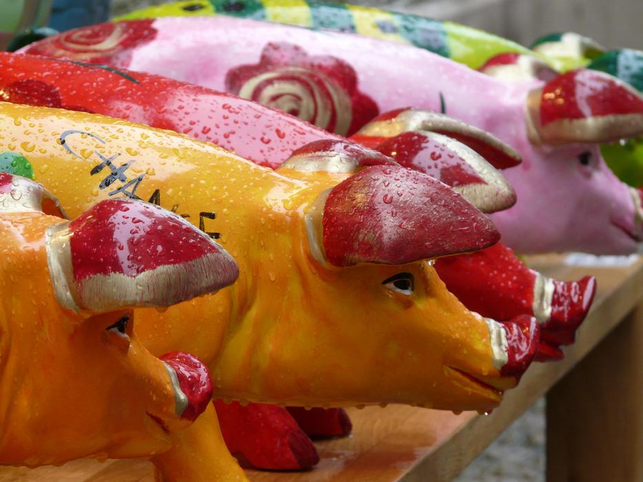 colorful Pigs Figures