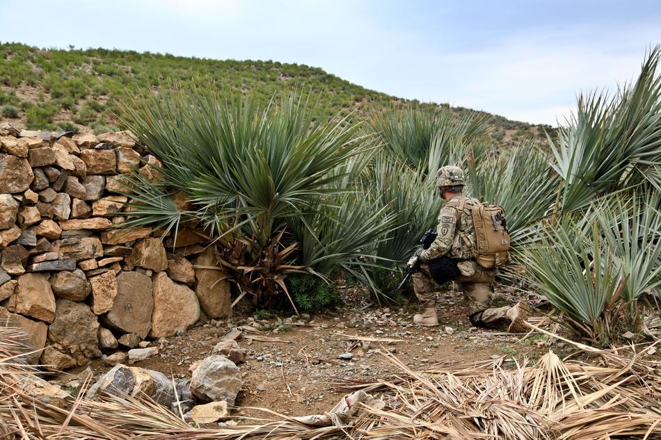 Scout in the green plants, among the rocks, on the mountain in Afghanistan