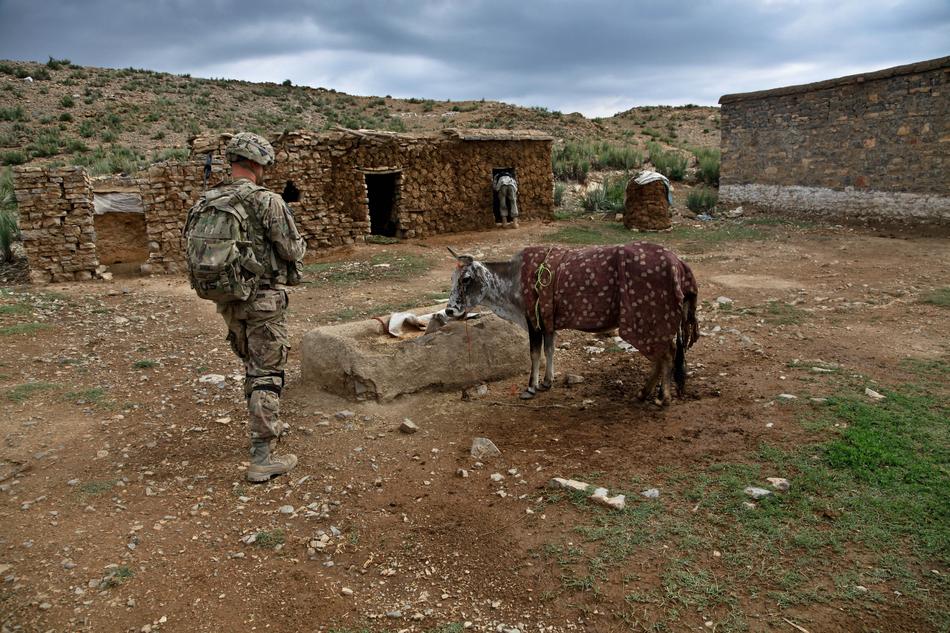 Soldier Calf