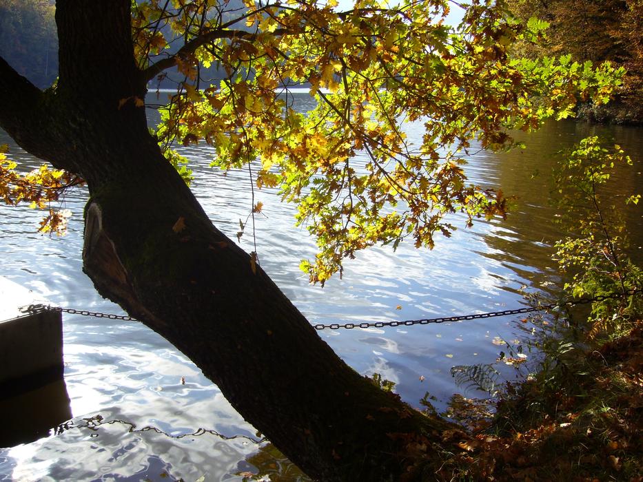 autumn park in Kriebstein