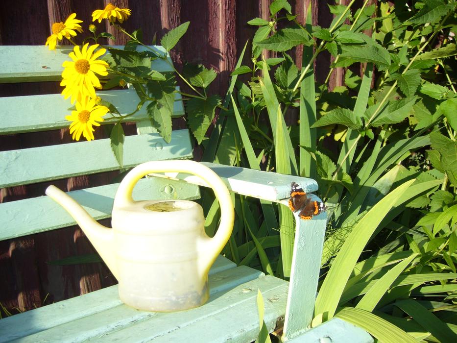 Watering Can on bench in garden