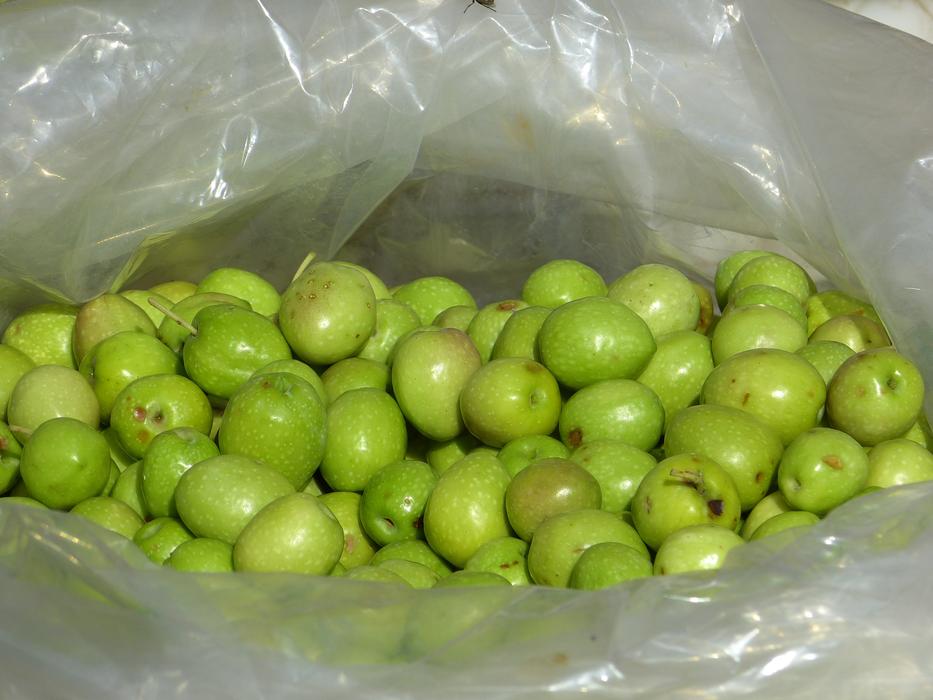 Olives Green plastic