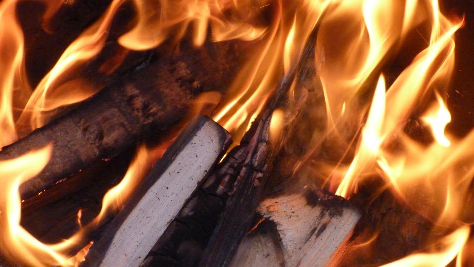 Wood in the beautiful, bright, gradient fire