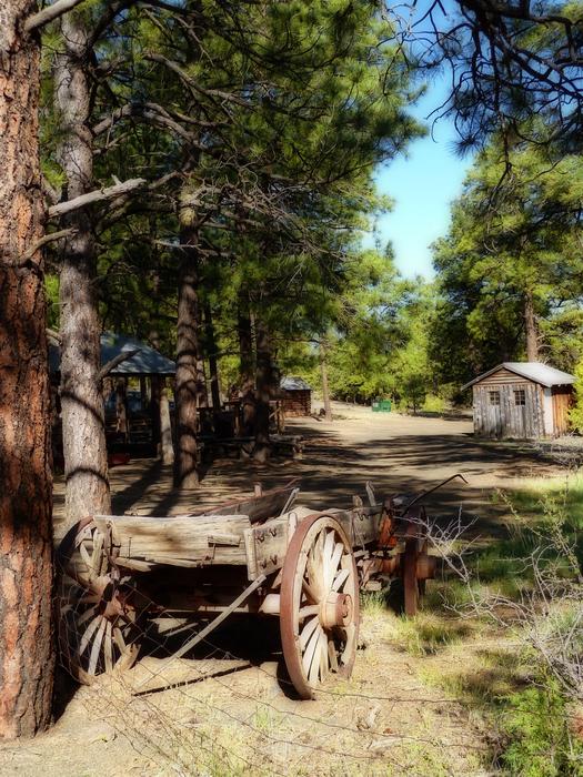 forest Wooden Wagon