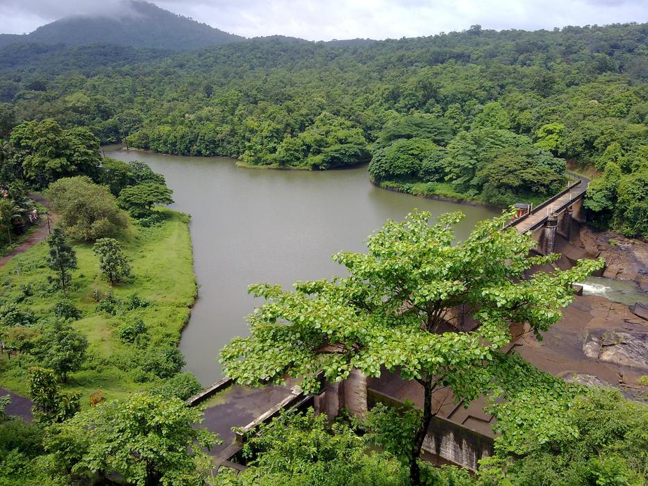 Kerala River and forest India
