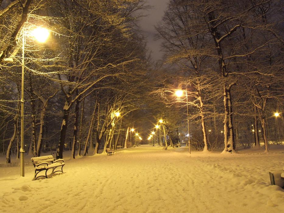 Beautiful park in snow with lights in winter