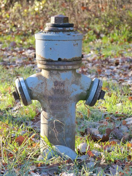 Hydrant Water garden