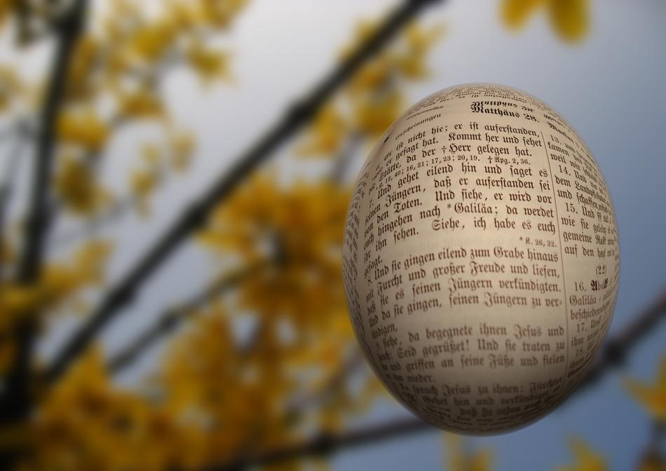 printed font on easter egg on blurred background