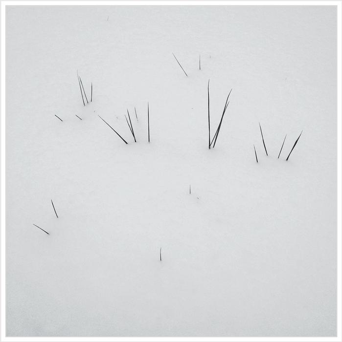 Beautiful white snow on the grass, in winter