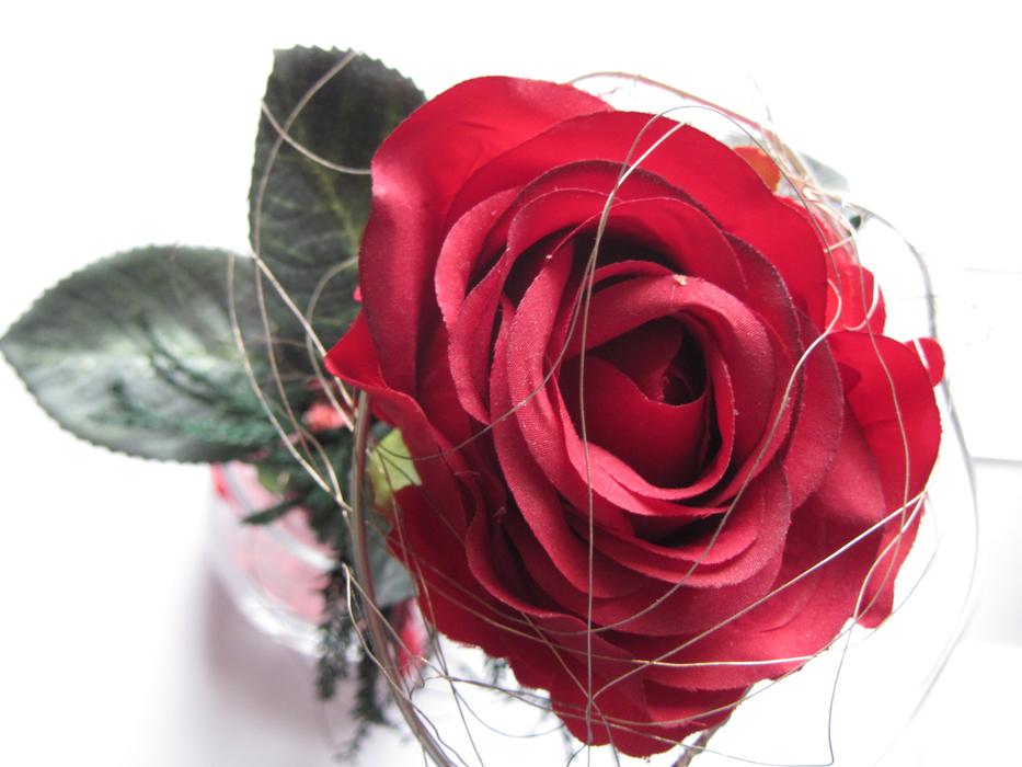absolutely beautiful Red Flower