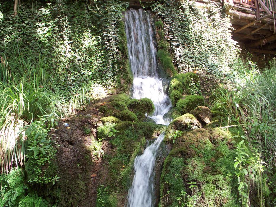 Fountane Waterfall forest
