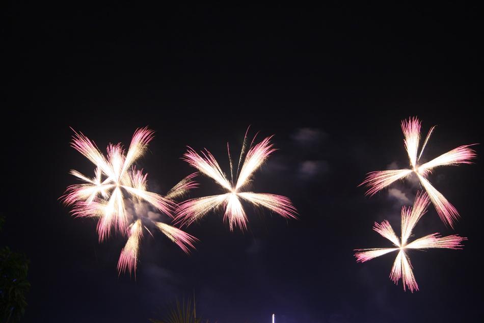 Fireworks as a flowers in the dark sky